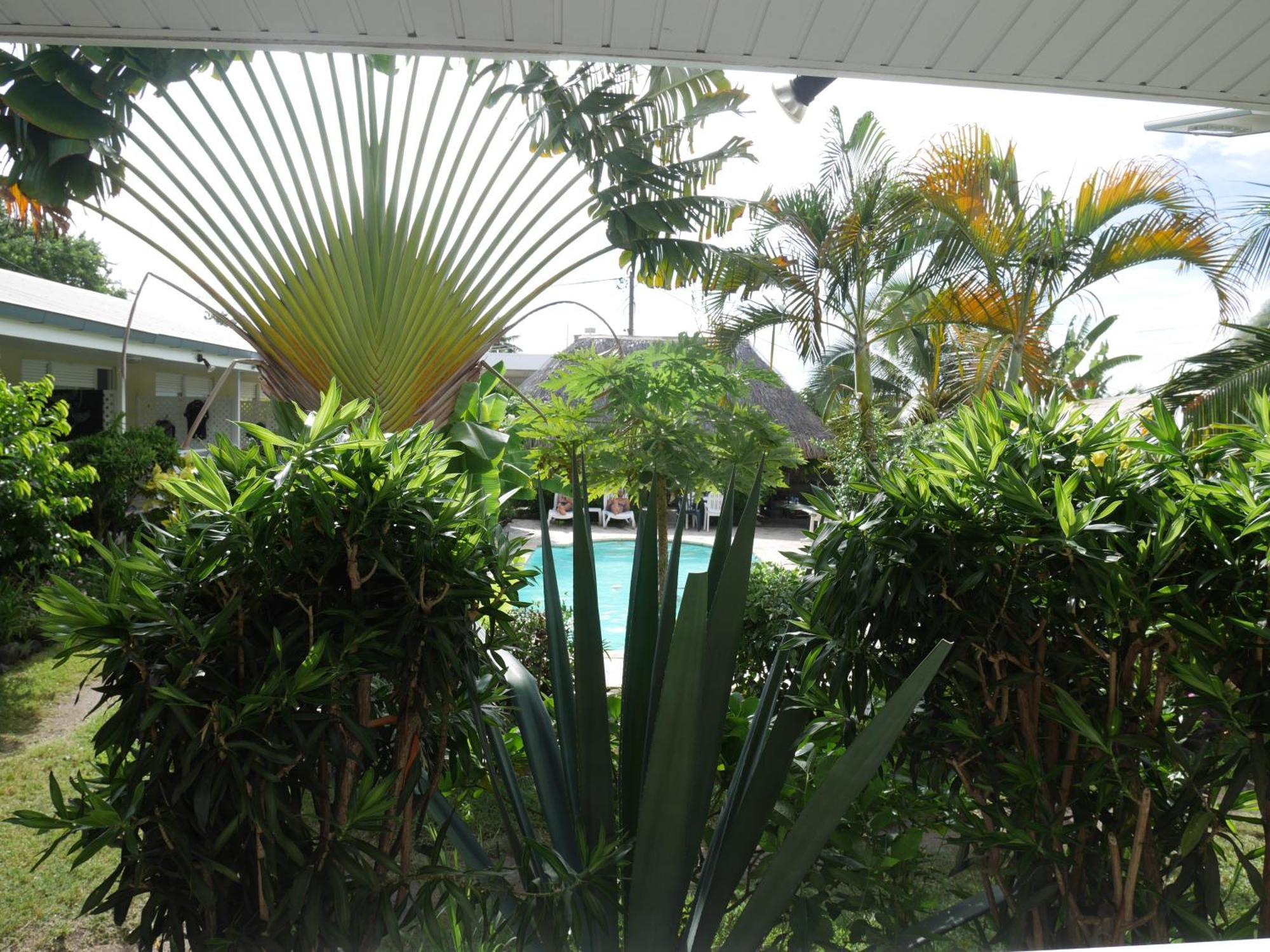 Pension De La Plage Punaauia (Tahiti) Quarto foto